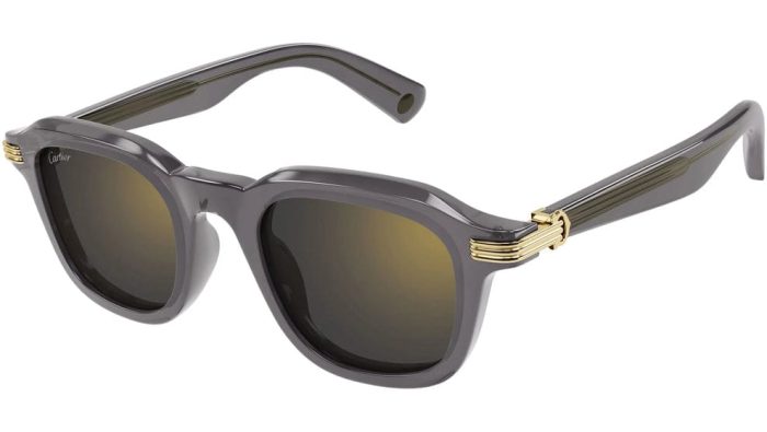 Cartier CT0536S Sunglasses, A Squared Shape And Transparent Acetate Finish