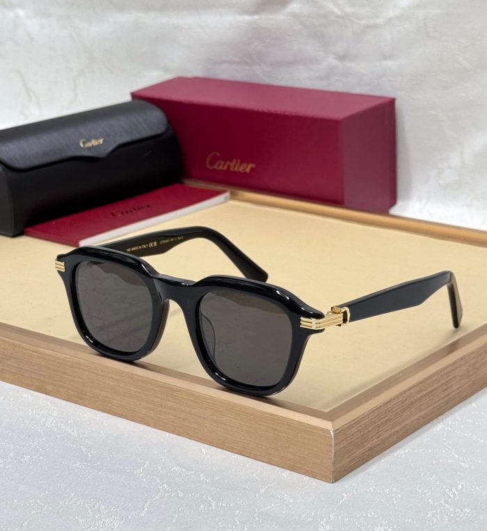 Cartier CT0536S Sunglasses, A Squared Shape And Black Acetate Finish